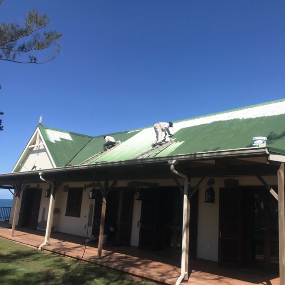 Roof Painting and Repairs