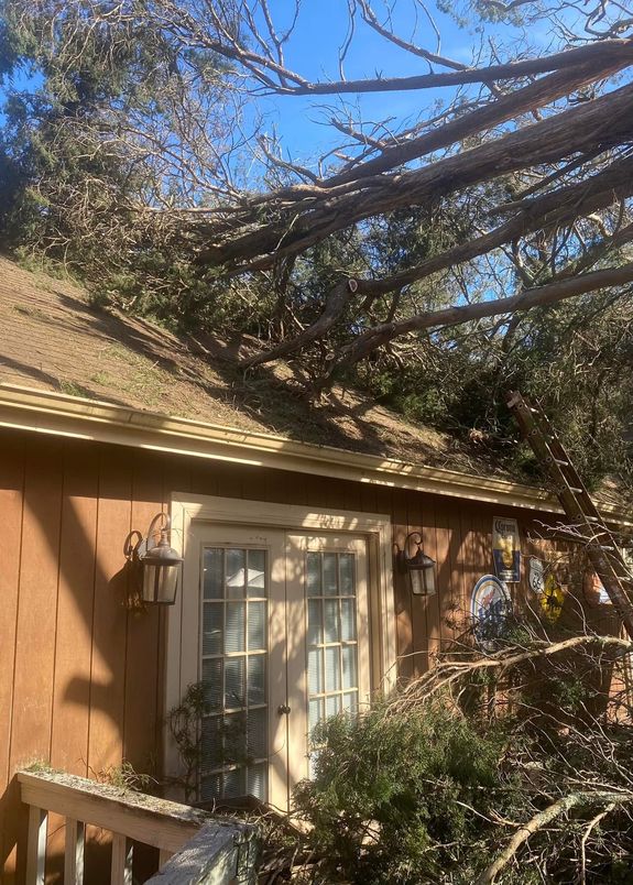 Emergency Tree Services