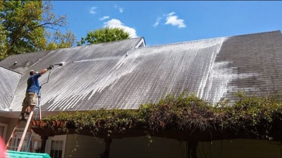 ROOF CLEANING/MOSS REMOVAL