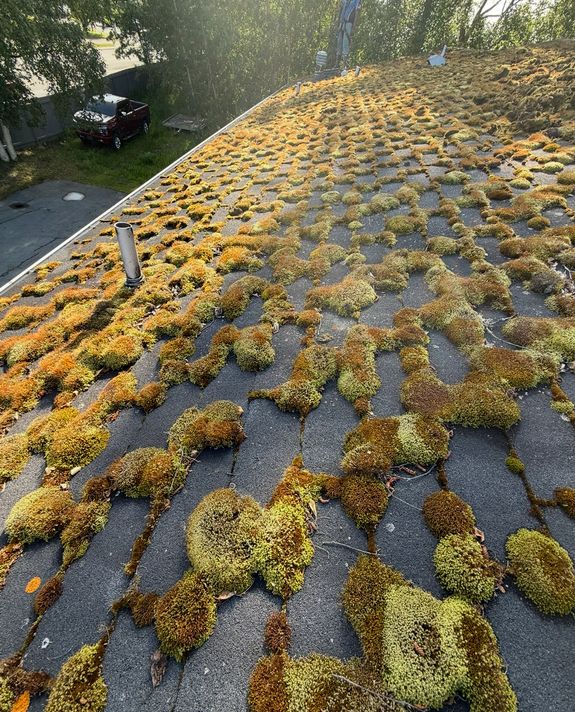 Comprehensive Services