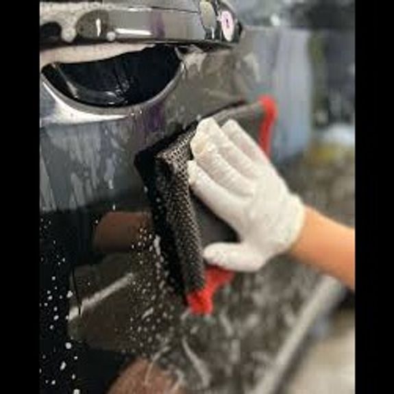 Paint Decontamination