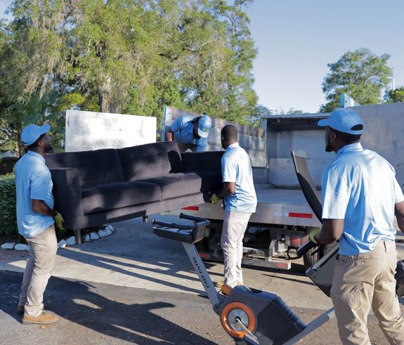 What types of junk do you remove?