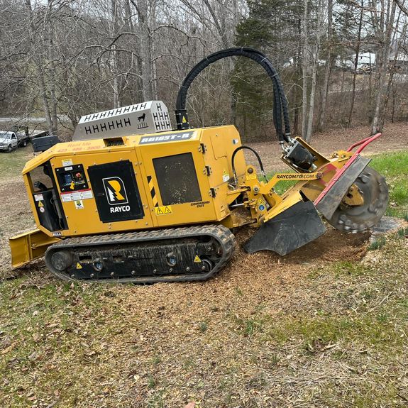 What can I expect during the tree removal process?