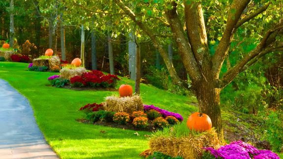 Uplift Your Outdoors with Stunning Seasonal Plantings in East, TN.