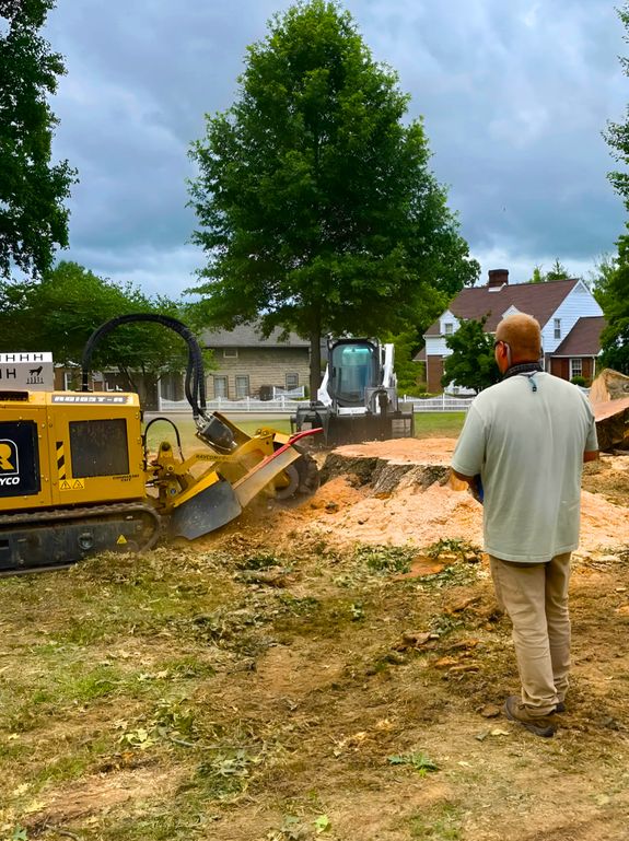 Experienced Professionals