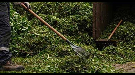 Let us take care of that area on your property that you haven’t had time to get to.