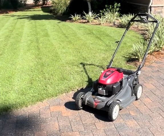 Professional Lawn Care