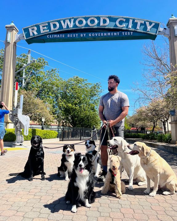 Elite Dog Training in Redwood City | Luxury Boarding, Daycare & Real Results