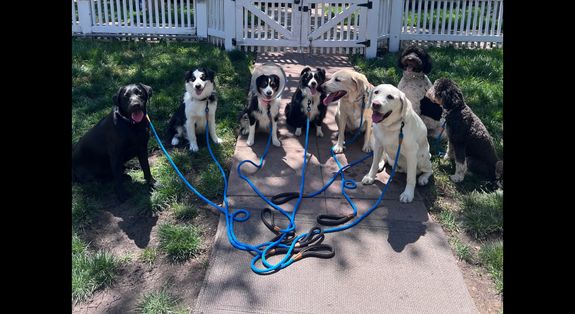 Controlled Socialization