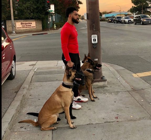 Expertise and Intention