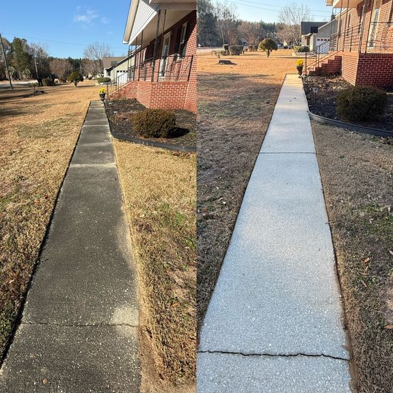 Eco-Friendly Cleaning Solutions