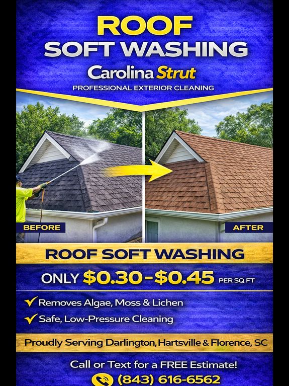 Roof Washing (Metal & Shingle Roofs)