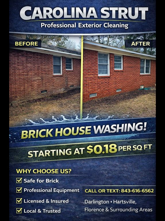 Algae & Mold Removal  Starting at $0.18 per sq ft | Free Estimates