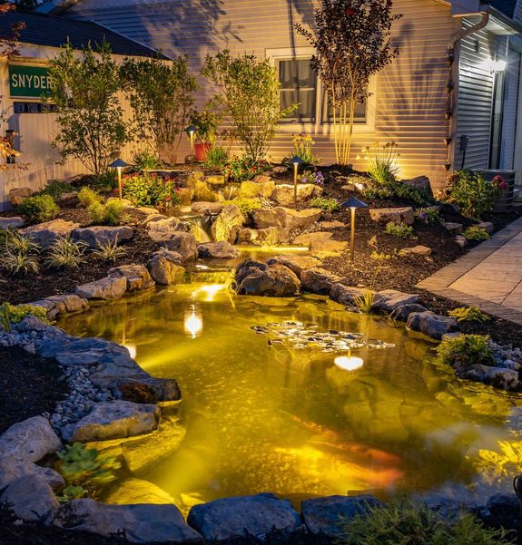 Expertise You Can Trust