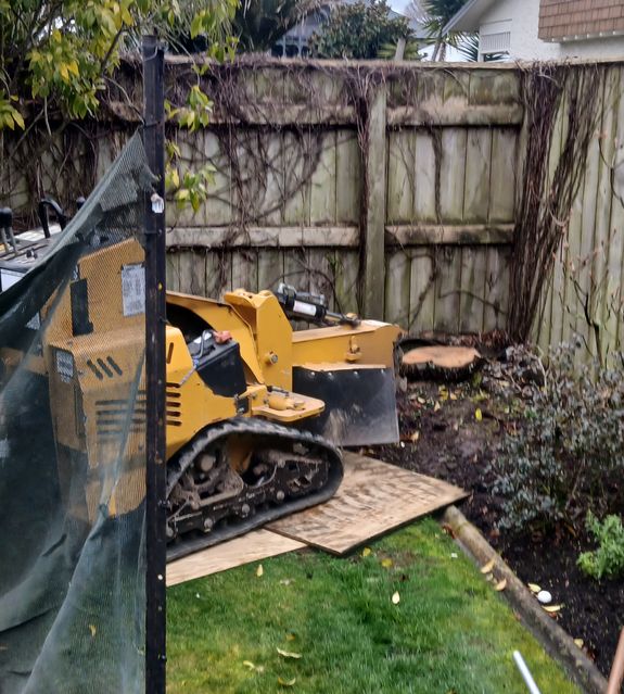 Stump Grinding