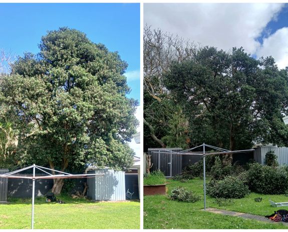 Tree Pruning