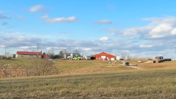 Discover Treasures with Wildfire Auctions