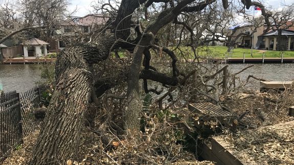 Technical Tree Solutions llc