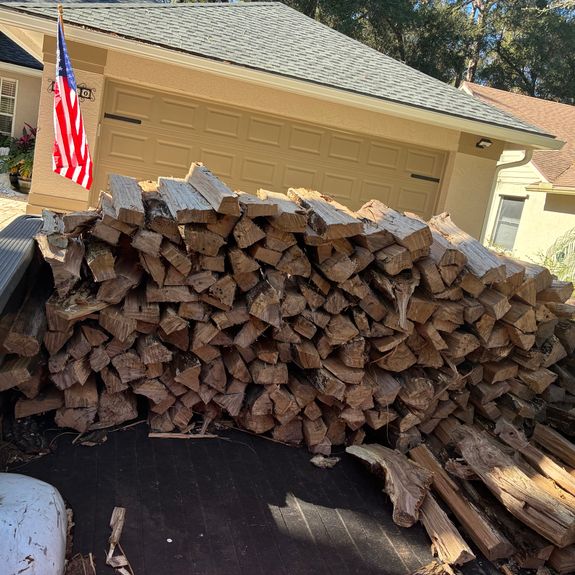 Expert Tree Services in DeLand, FL – Fast, Friendly, and Reliable