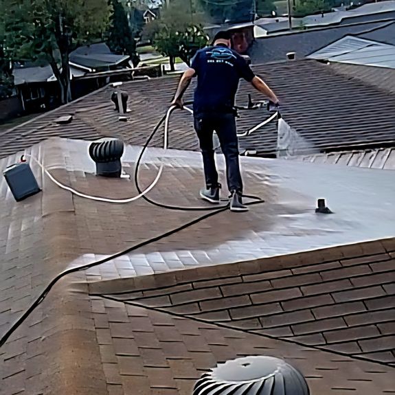 How often should I have my roof and exterior cleaned?
