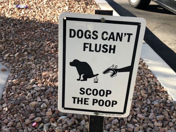 Eco-Friendly Practices