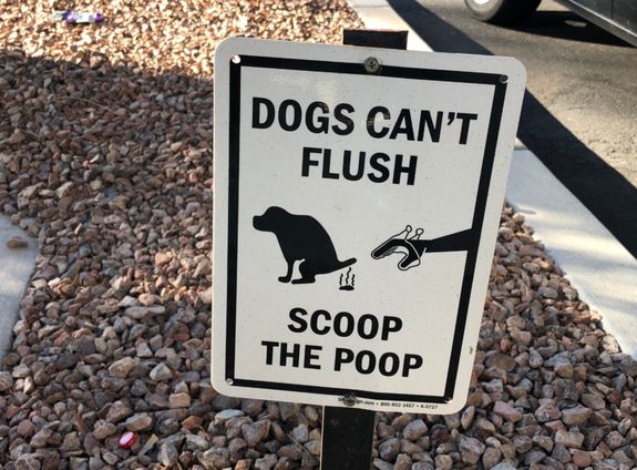 Eco-Friendly Cleanup Solutions