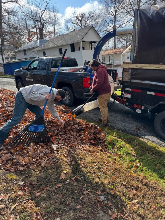 Leaf Cleanup