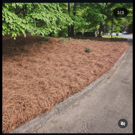 Transform Your Outdoors with Grasskings LLC