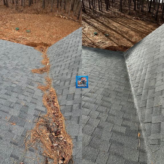 Gutter Cleaning
