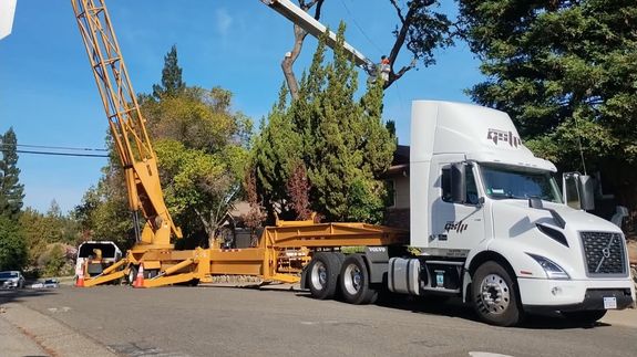 Expert Tree Care Services in Northern California 100% Native American Owned