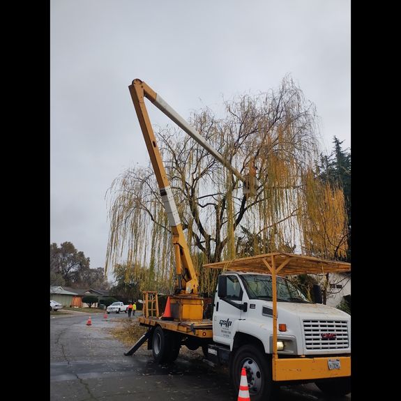 Expertise You Can Trust