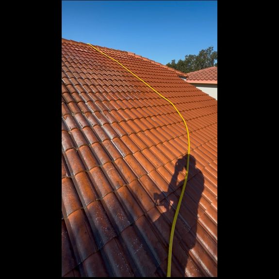 Roof Cleaning
