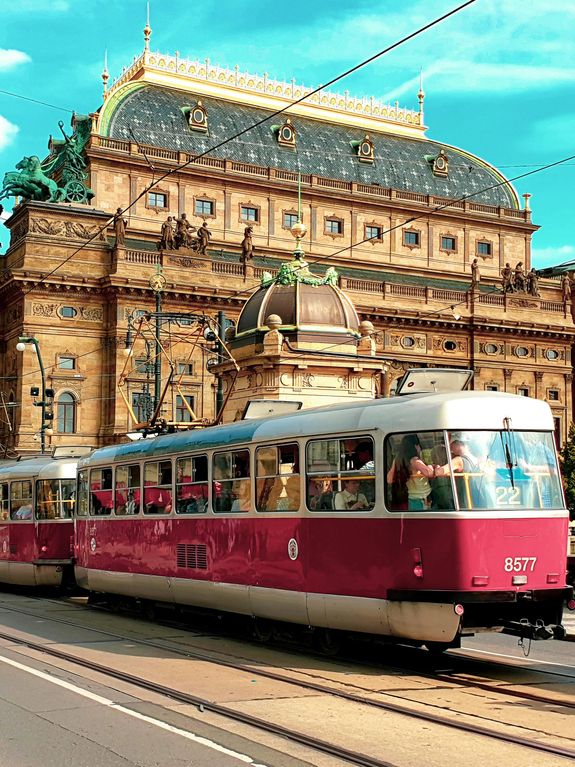 Comprehensive Services