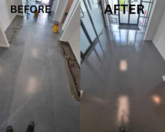 Professional Commercial Cleaning Services in Auckland