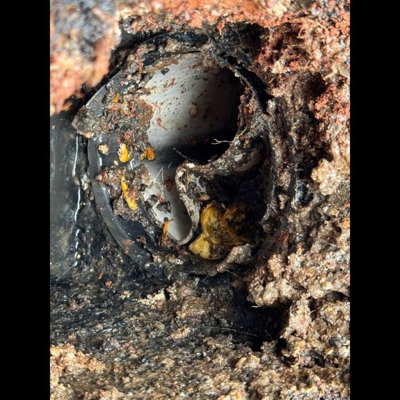 What does a septic inspection include?