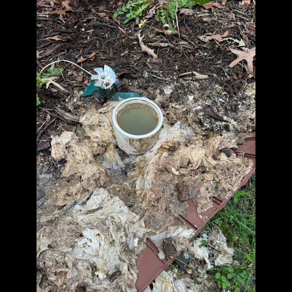 Emergency Septic Services