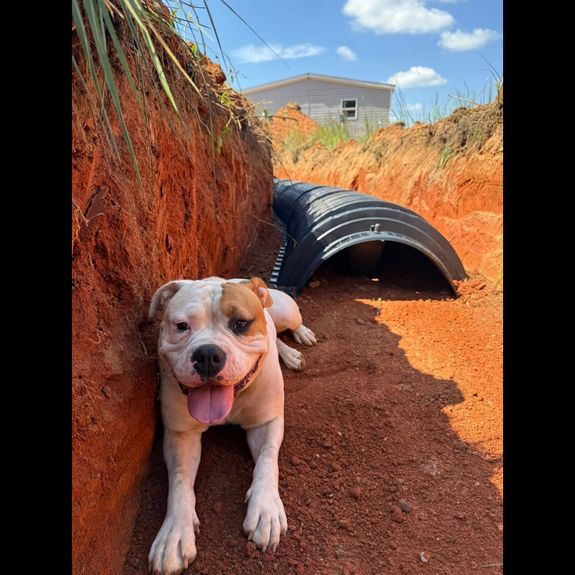 Expertise You Can Trust