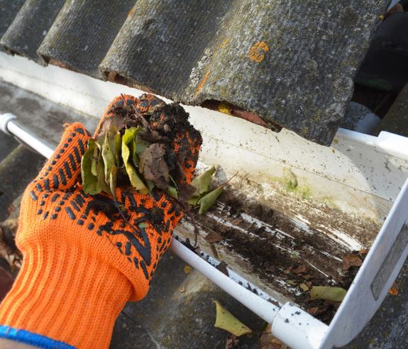 Gutter Cleaning