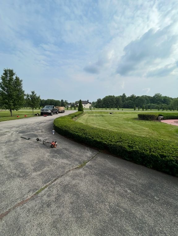 Tree Removal and Trimming