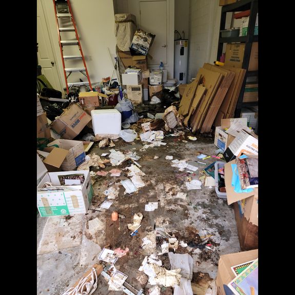 Garage Cleanouts