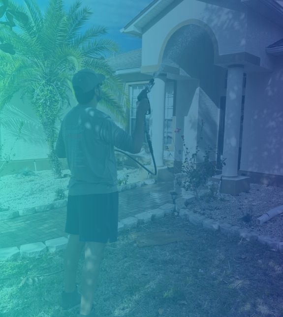 House Exterior Soft Washing 