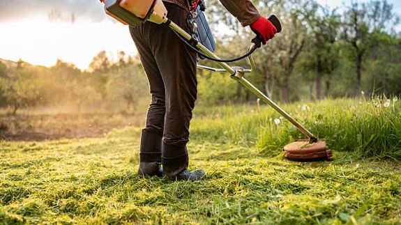 Transform Your Outdoors with Expert Care