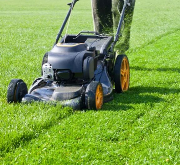 Grass Cutting