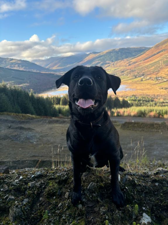 Eco-Friendly Approach