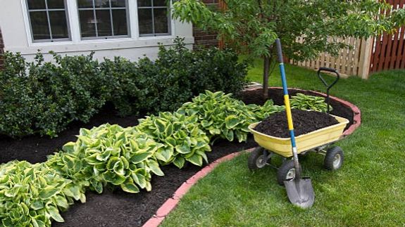 Revitalize Your Outdoor Space, Effortlessly.