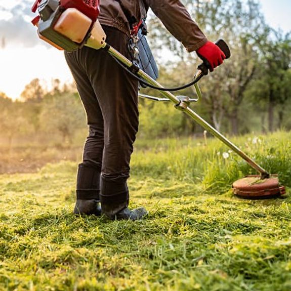 Do you offer one-time grass cutting services or regular maintenance?