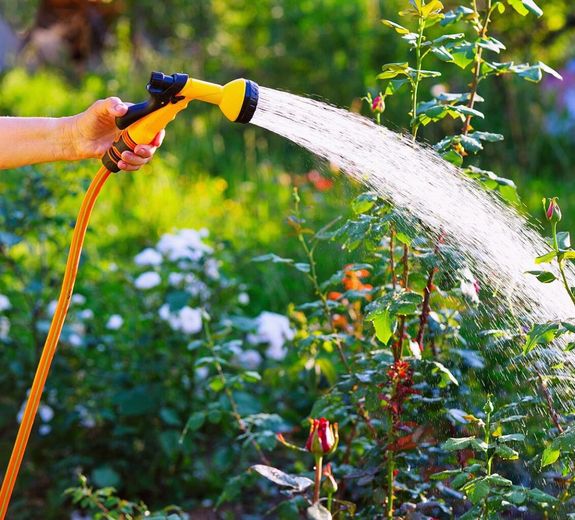 Are your services environmentally friendly?