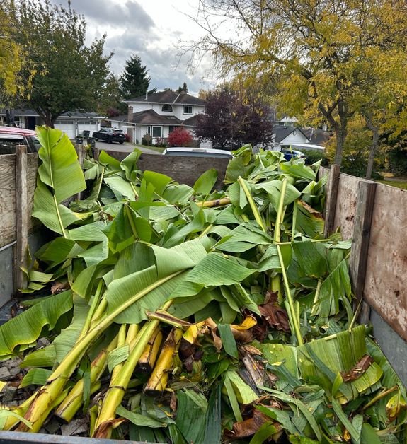 Reliable Green Waste Disposal