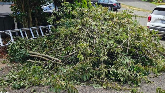 Sustainable Solutions for Surrey's Green Waste