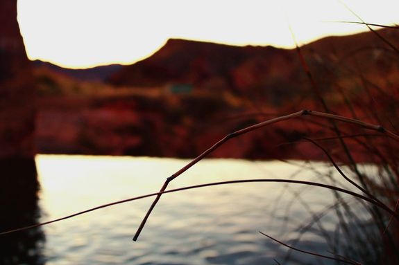 Transform Your Space, Embrace a Cleaner Environment